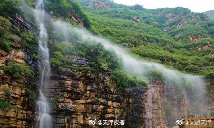 音乐爱好者的不二选择——柏通租琴